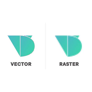 Designervn.net
